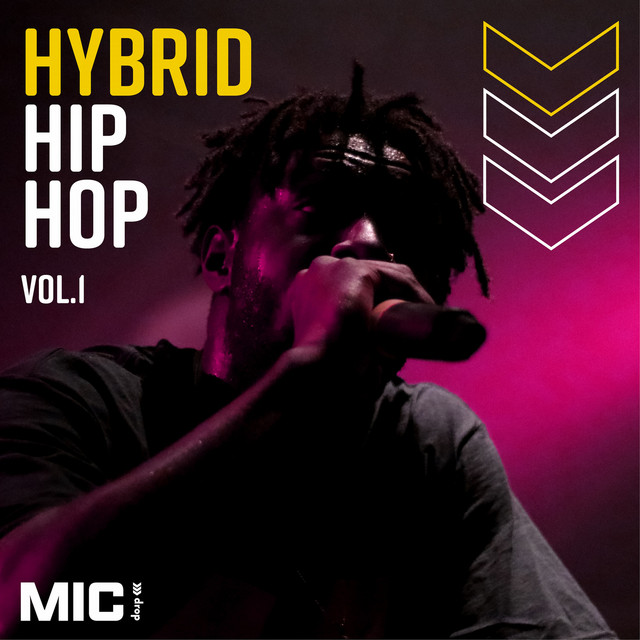 Hip Hop Hybrids Vol. 1 cover art