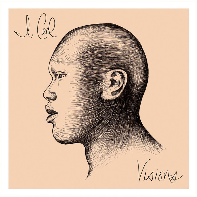 Visions... cover art
