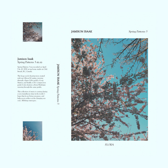Spring Patterns 3 cover art