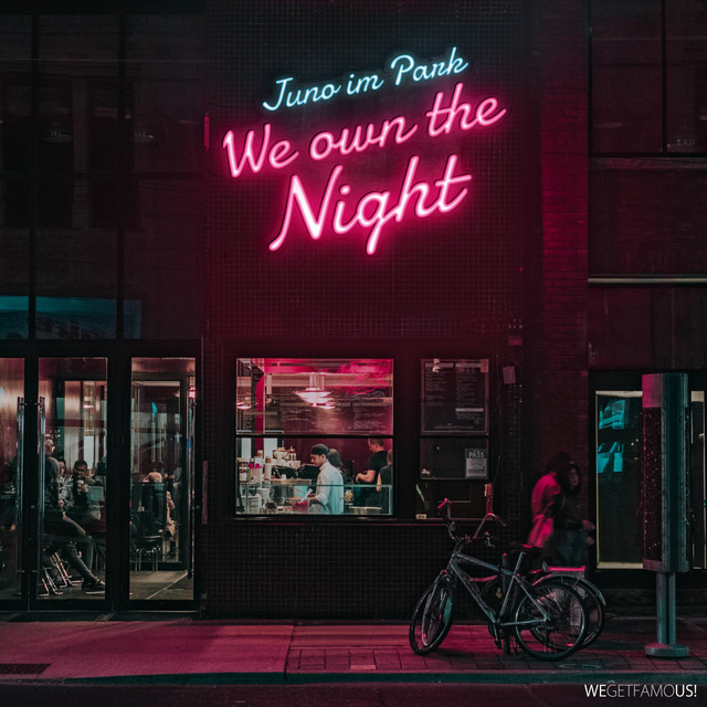 We Own the Night cover