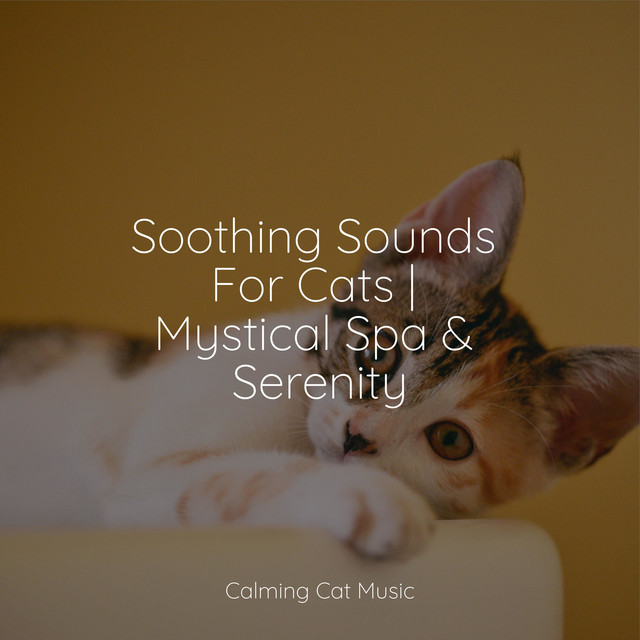 Soothing Sounds For Cats | Mystical Spa & Serenity - Album by Calm ...