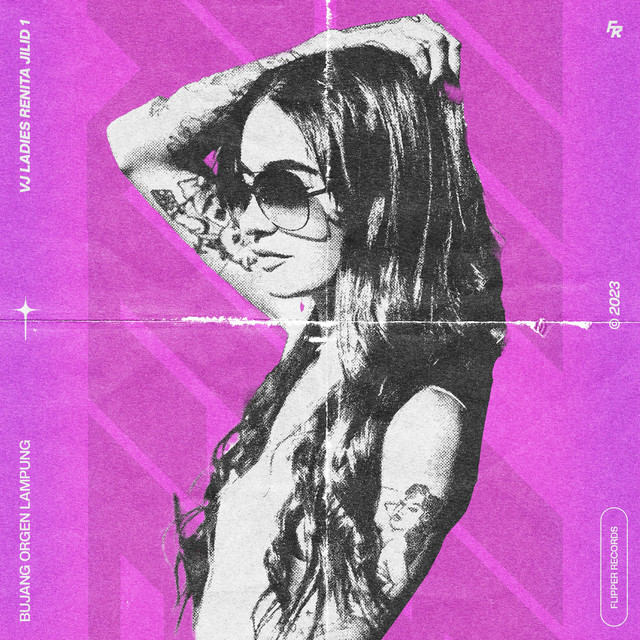 VJ LADIES RENITA JILID 1 cover art
