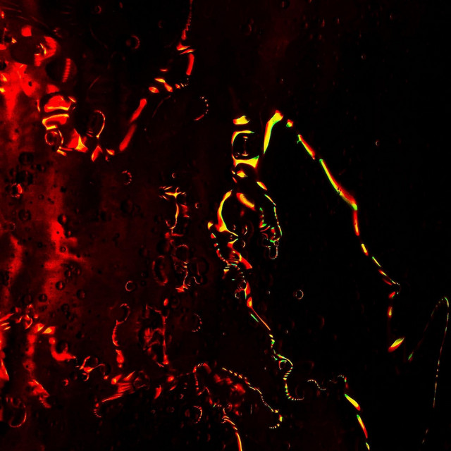 PHANTOMS REVENGE cover art