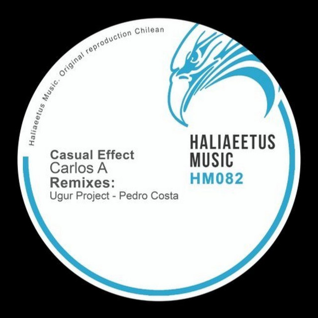 Casual Effect - Pedro Costa Remix album art