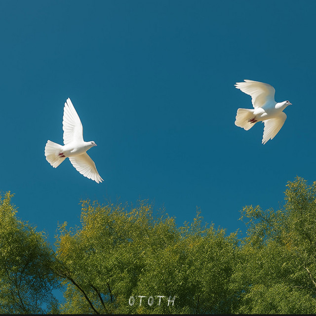 Passarinhos cover art