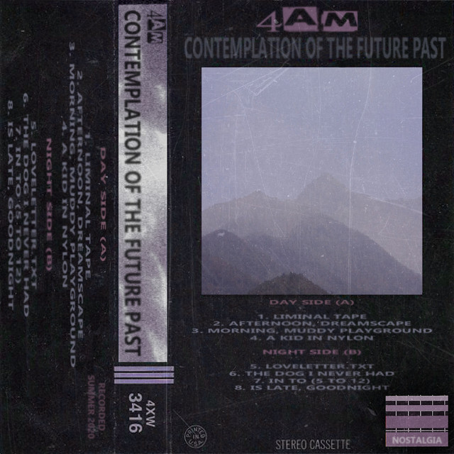 Contemplation of the future past cover art