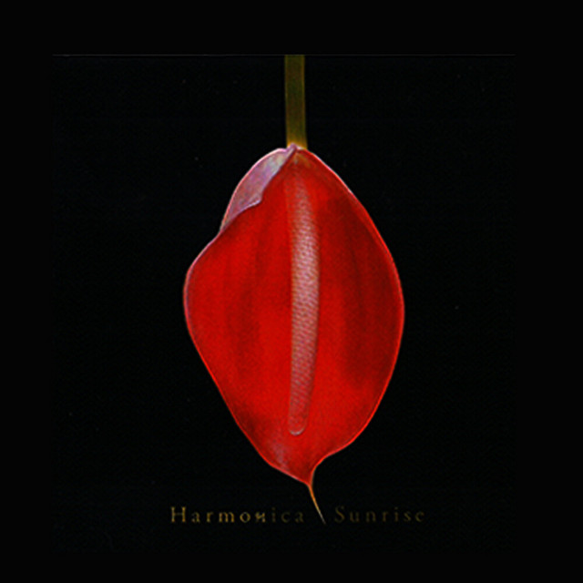 WET cover art