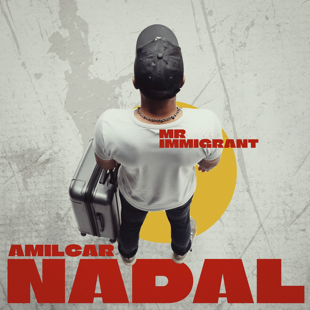 Mr. Immigrant cover