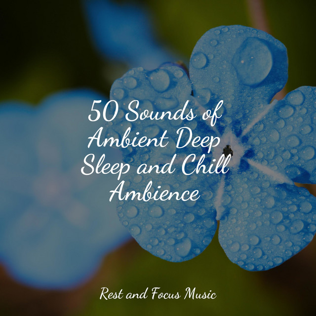 50 Sounds of Ambient Deep Sleep and Chill Ambience - Album by Lullaby ...