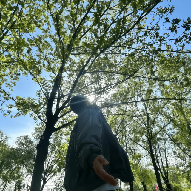 龙平可