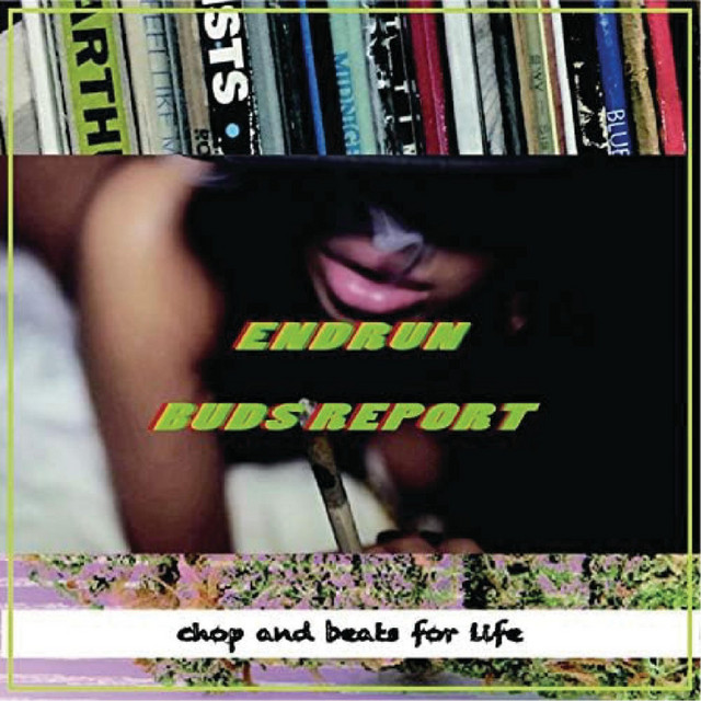 BUDS REPORT cover art
