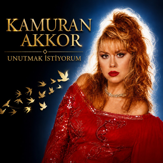 Unutmak İstiyorum album image
