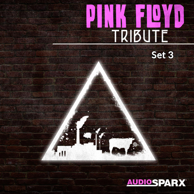 Pink Floyd Tribute, Set 3 - Compilation by Various Artists | Spotify
