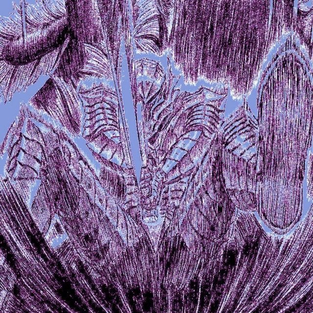 Cover art: Soul Resonance — ERTXMN