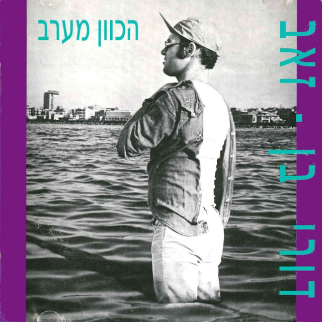 הכוון מערב cover art