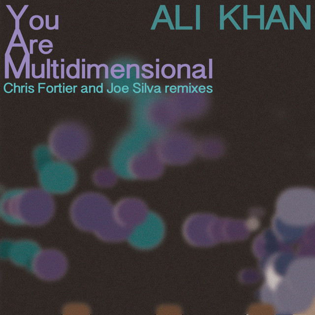 You Are Multidimensional Remixes cover art