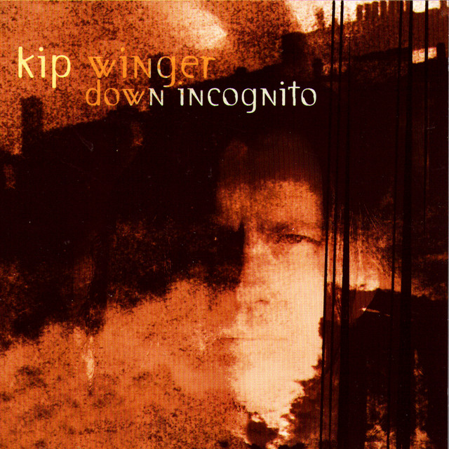 Down Incognito cover art