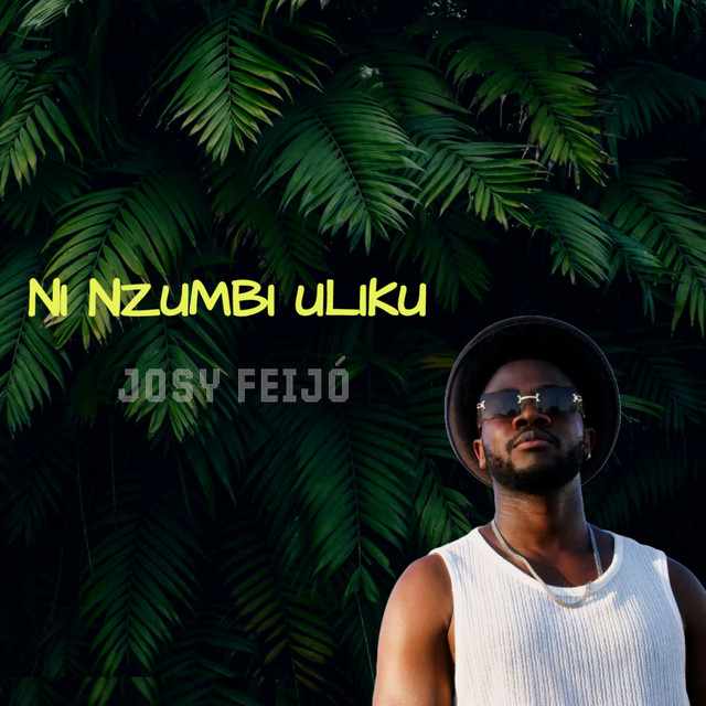 Ni Nzumbi Uliku cover art
