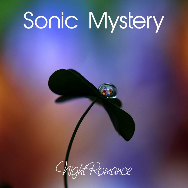 Night Romance cover art