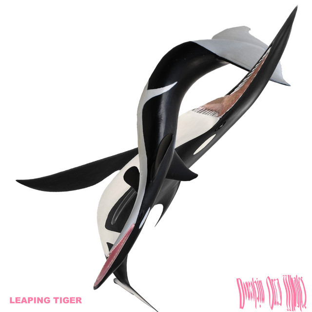 Porcelain Orca Whales cover art