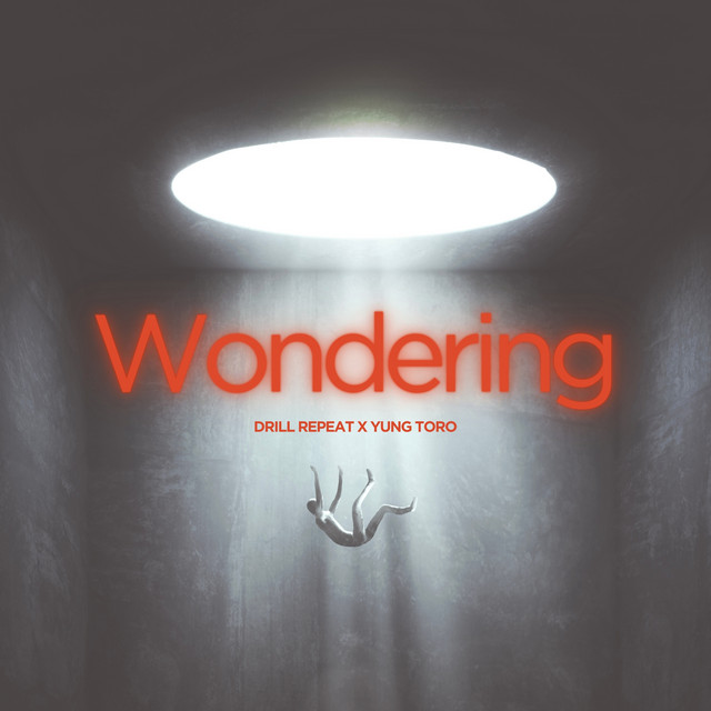 Wondering cover art