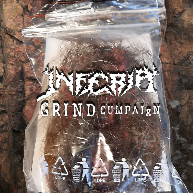 Grind Cumpaign cover art
