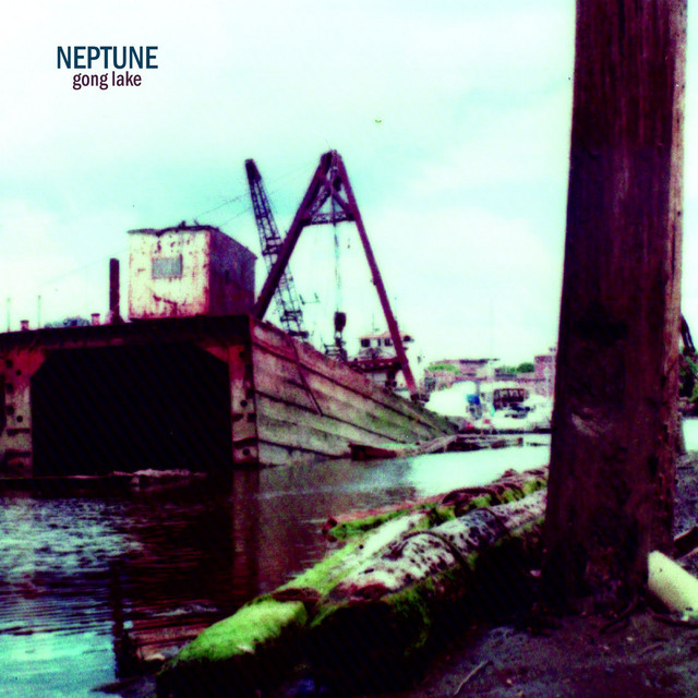 Gong Lake cover art