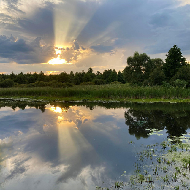 Обкладинка: Evening Sunlight — Stalker VA