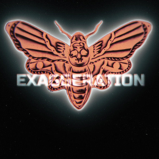 Exaggeration cover art