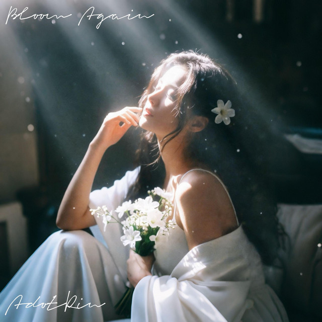 Bloom Again cover