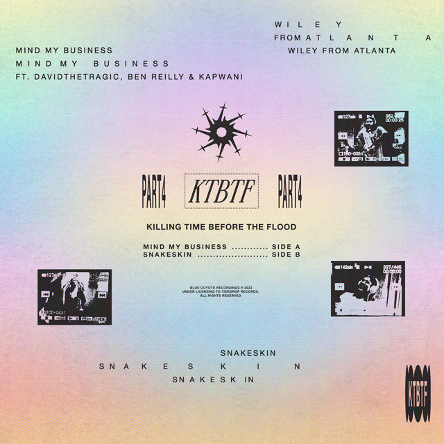 Mind My Business / Snakeskin cover art