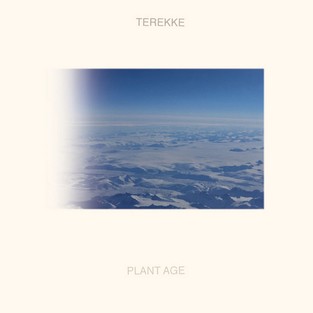 Plant Age cover art