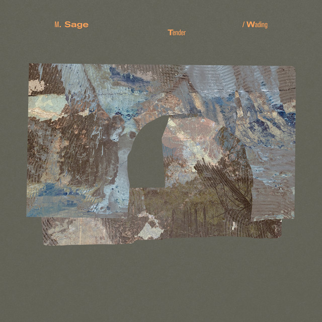 Tender / Wading cover art