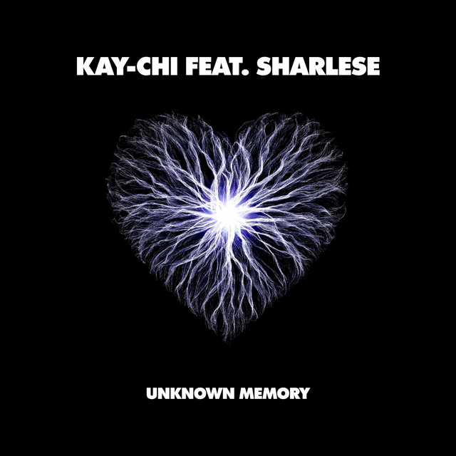 Unknown Memory cover art