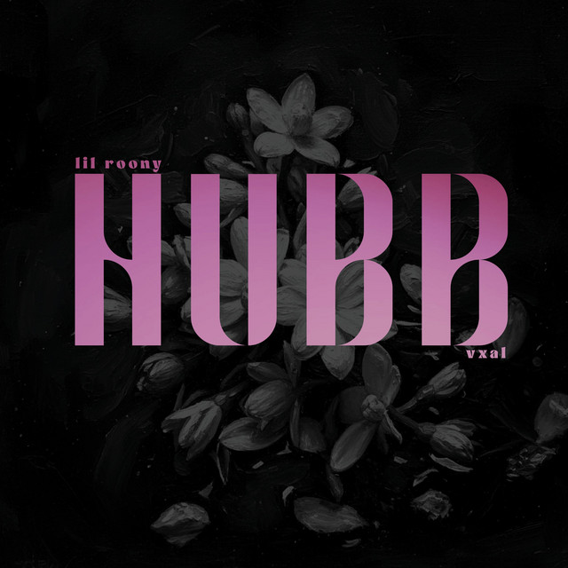 HUBB