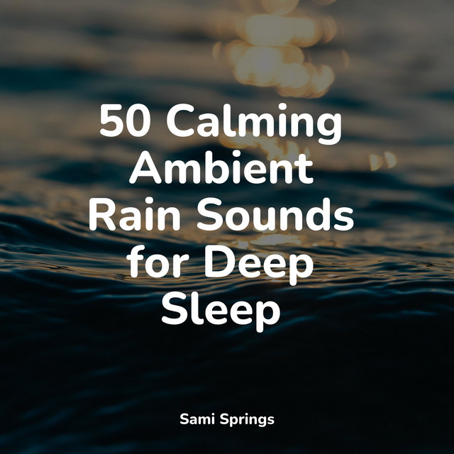 50 Calming Ambient Rain Sounds for Deep Sleep - Album by Sonidos de la ...