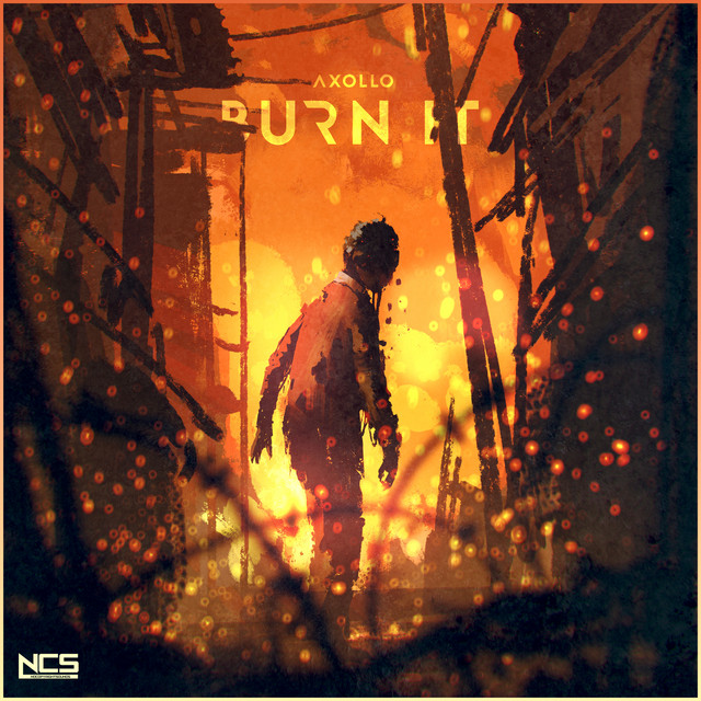 Burn It cover