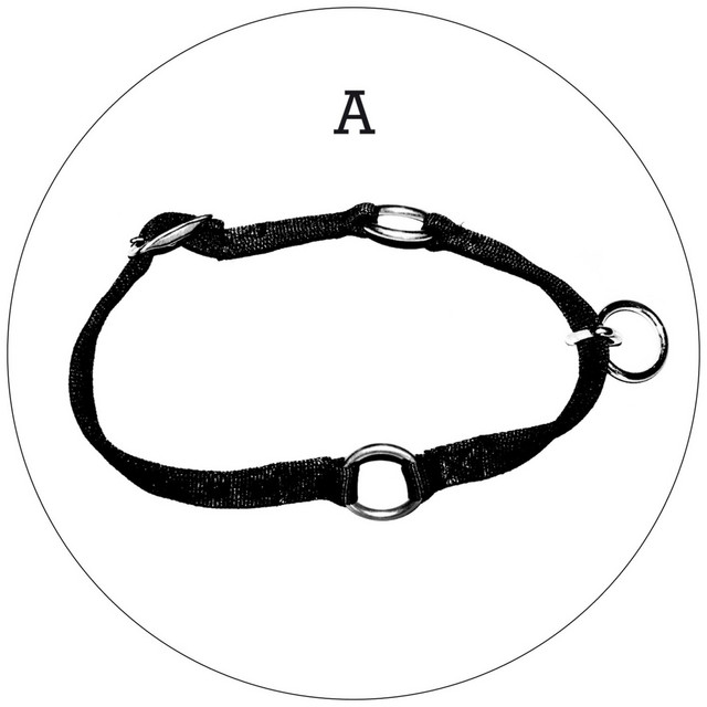 Polo (Versions) cover