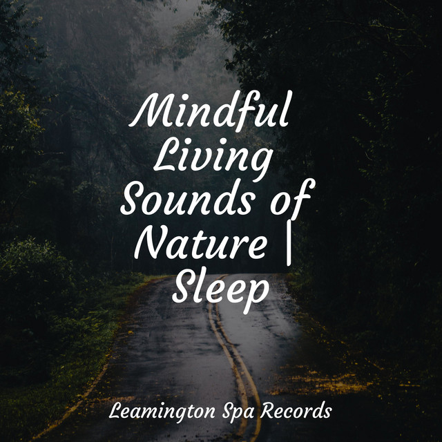 Mindful Living Sounds of Nature | Sleep cover art