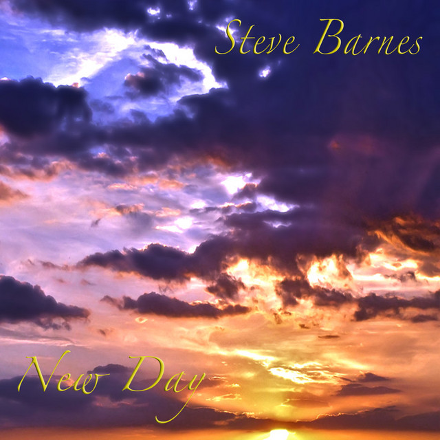 Birds in Flight cover art