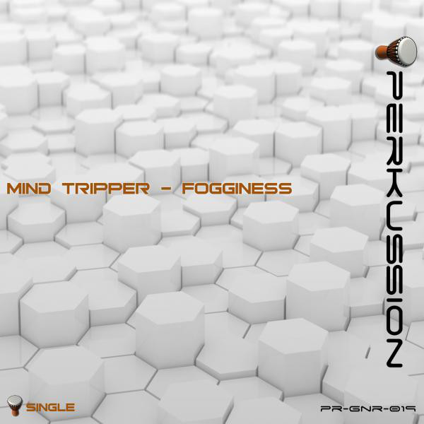 Fogginess - song and lyrics by Mind Tripper | Spotify