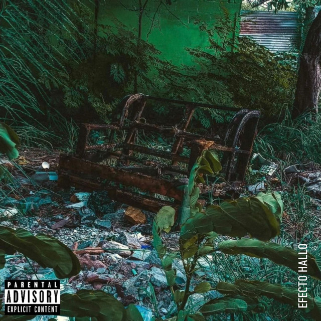 Efecto Hallo cover art