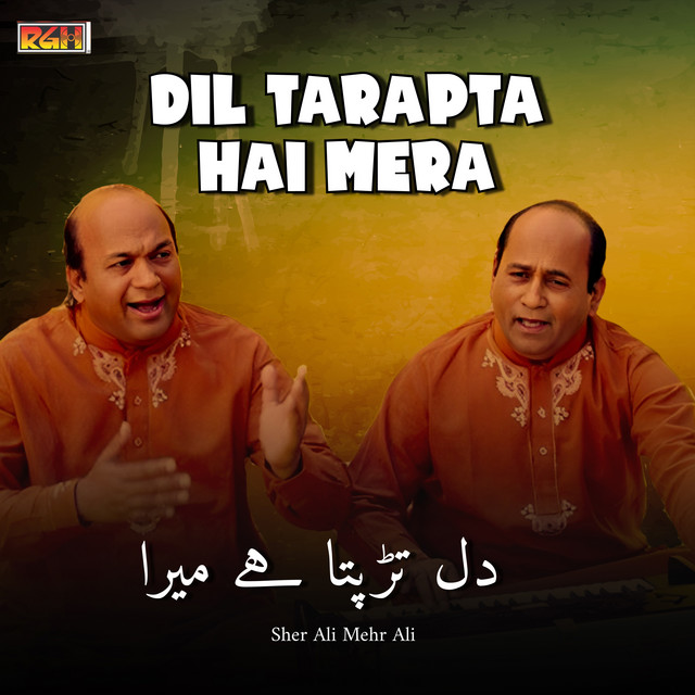 Dil Tarapta Hai Mera cover art