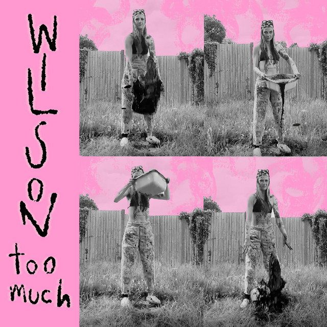 Wilson