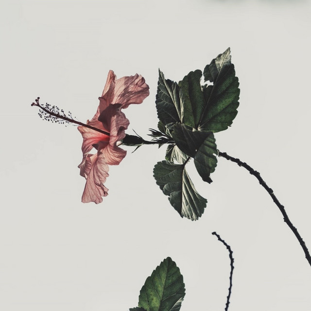 Siggerr - Isn't Easy to Let You Go