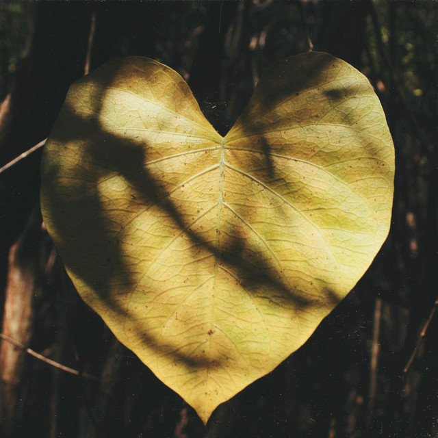 Cover art: warm luv — TwinkleBeeMusic
