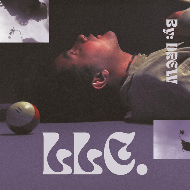 LLC. cover art