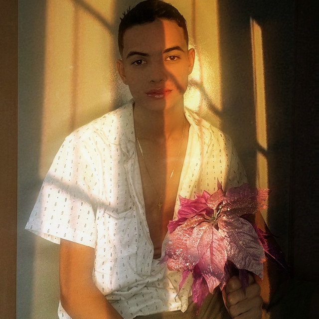 PRISMA cover art