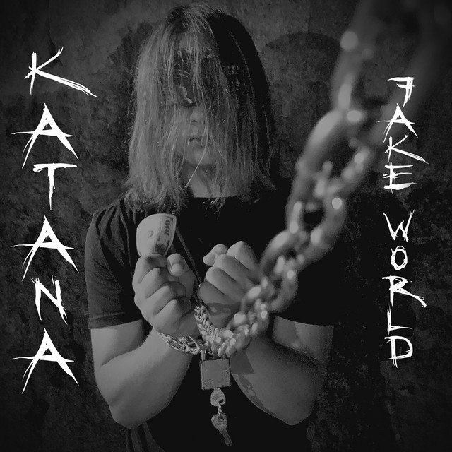 Обкладинка: Fake World — Katana