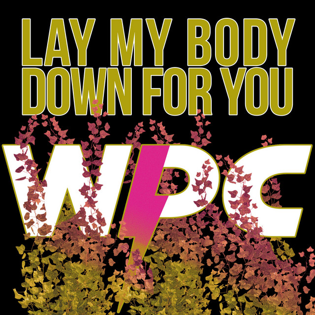Lay My Body Down for You cover